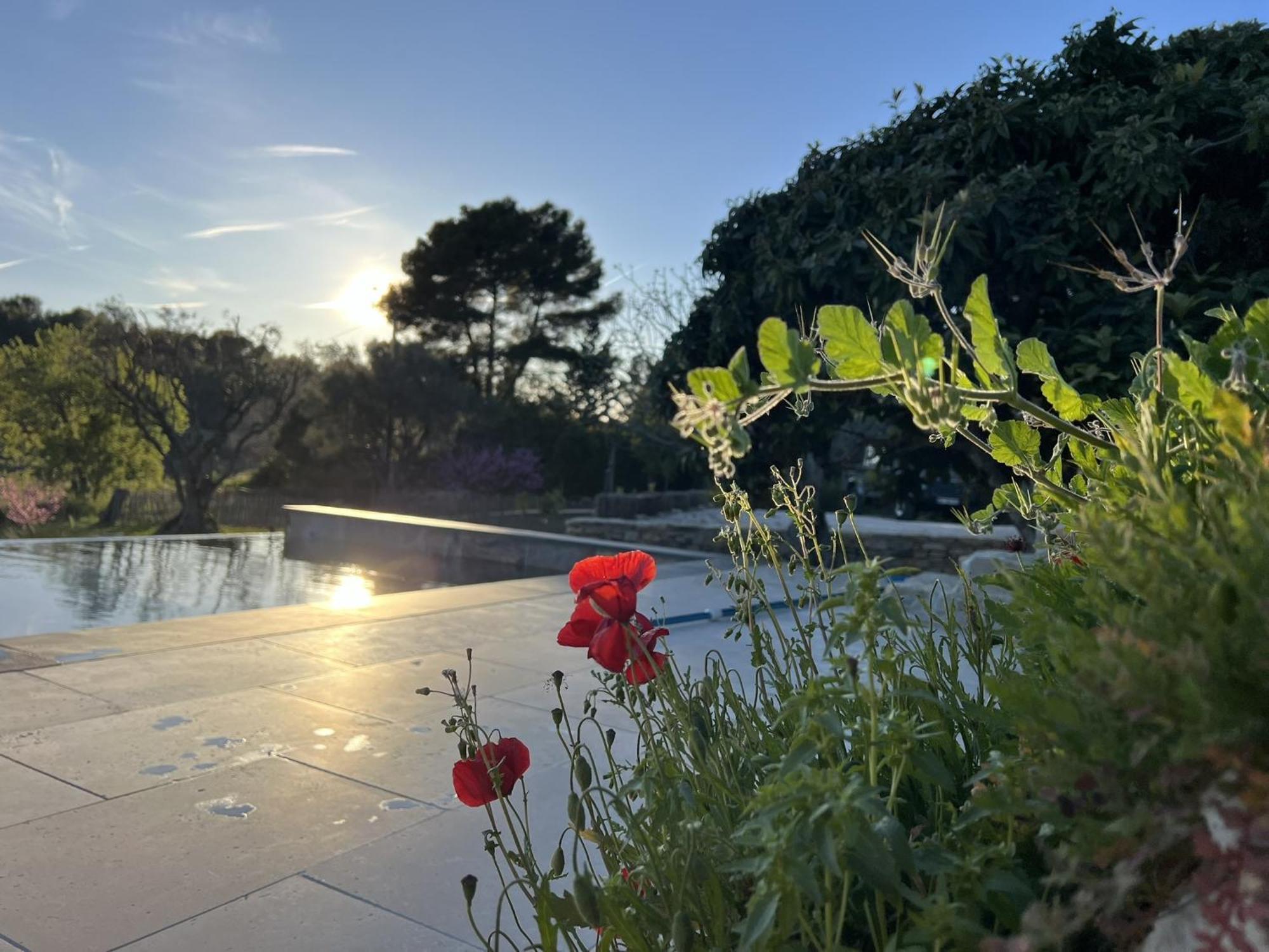 Le Mas Golie Le Castellet  Exteriér fotografie