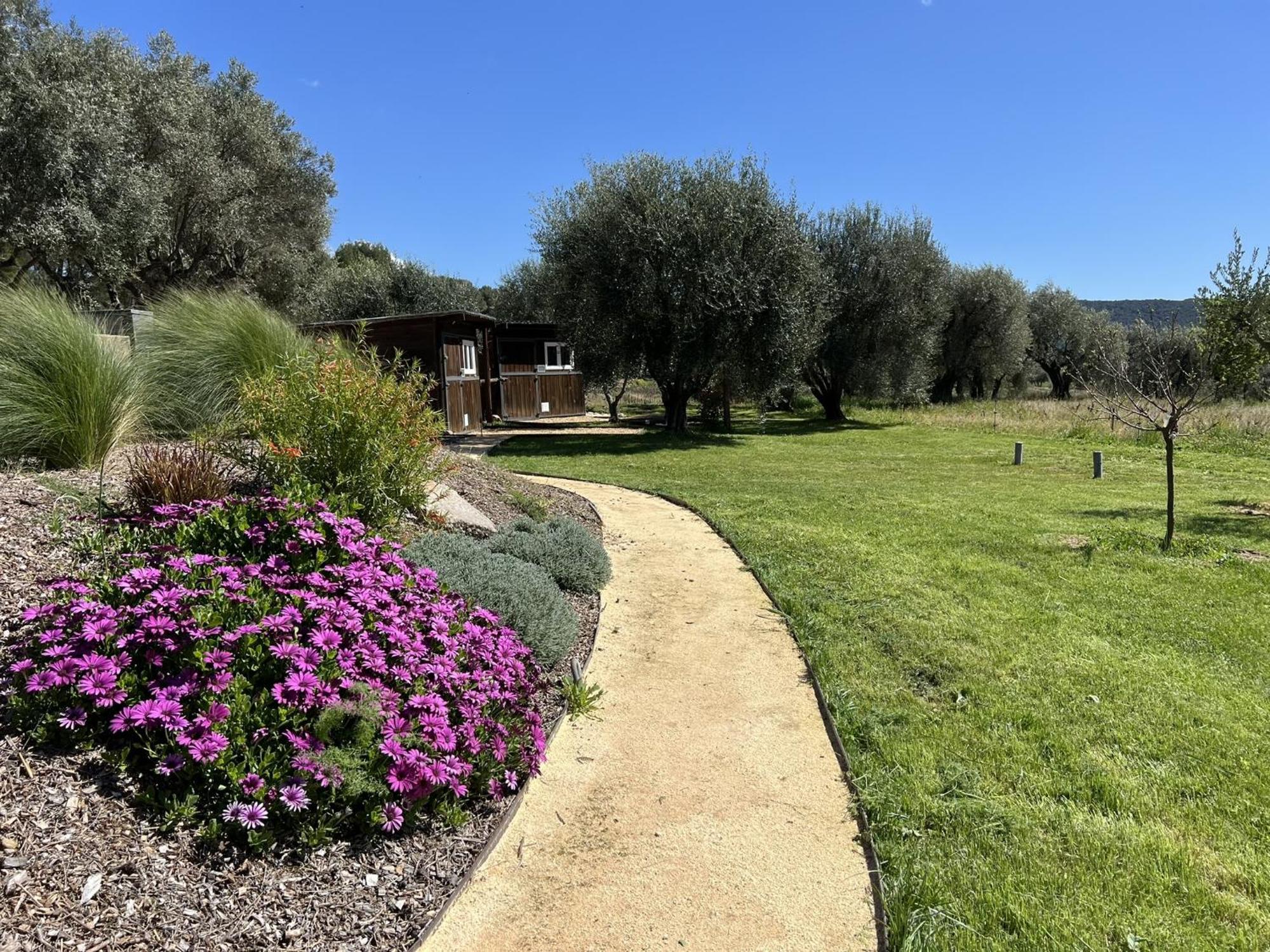 Le Mas Golie Le Castellet  Exteriér fotografie